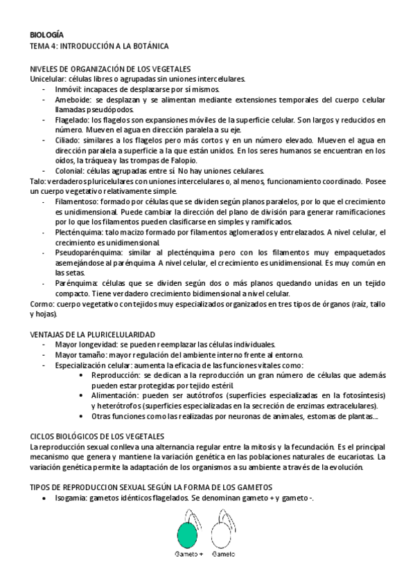 Miniatura del documento BIOLOGIA-tema-4.pdf