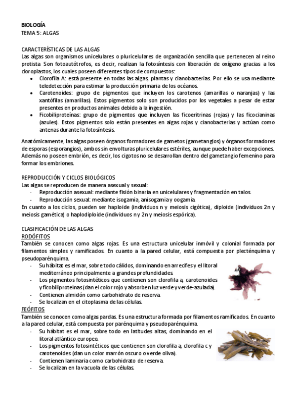 Miniatura del documento BIOLOGIA-tema-5.pdf