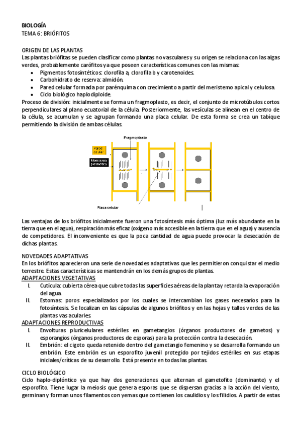 Miniatura del documento BIOLOGIA-tema-6.pdf