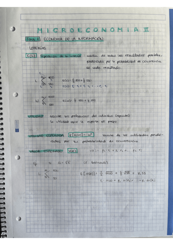 Miniatura del documento TEMA1-economia-de-la-informacion.pdf