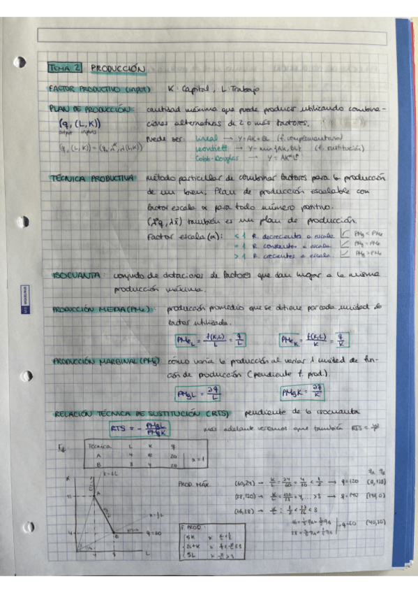 Miniatura del documento TEMA2-produccion.pdf
