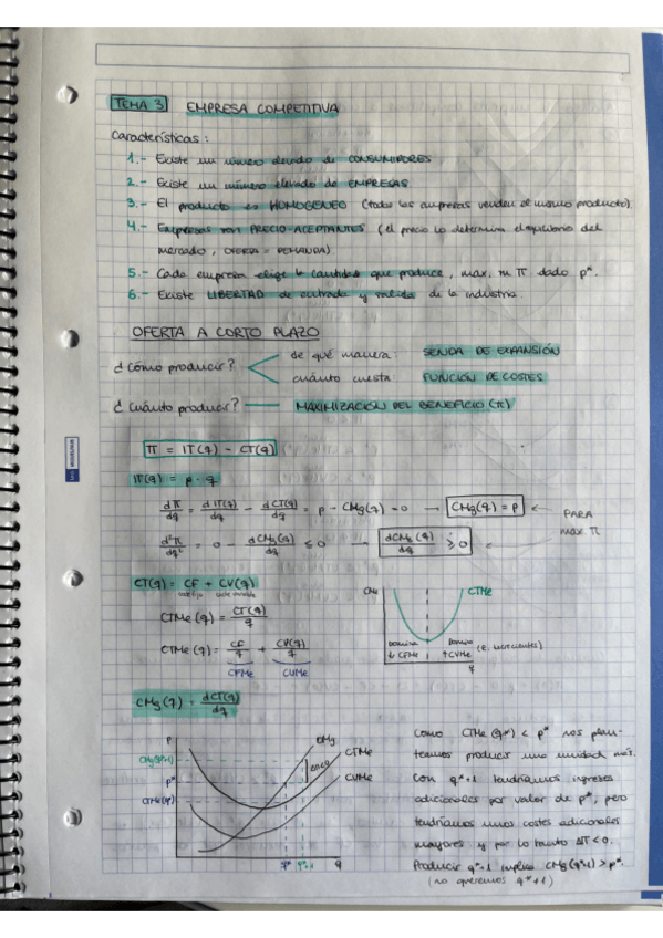 Miniatura del documento TEMA3-empresa-competitiva.pdf