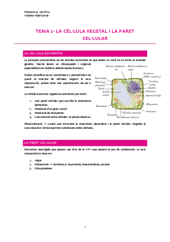 Miniatura del documento TEMARI-FISIOLOGIA-VEGETAL-T.2-6.pdf