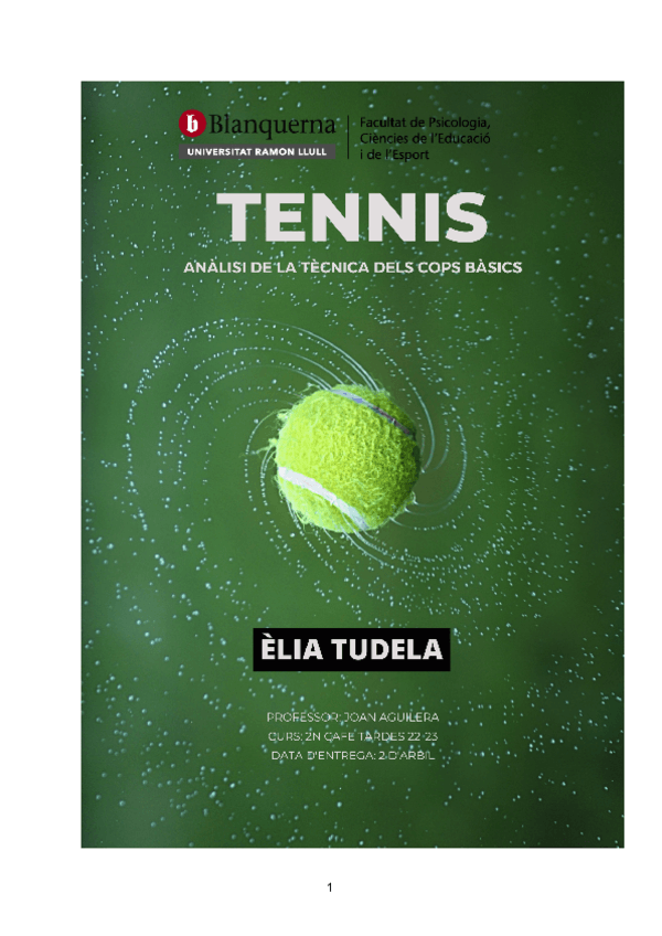 Miniatura del documento TudelaRegadaEliaPM4.pdf