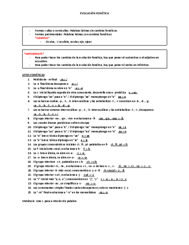 Miniatura del documento 13.-evolucion-fonetica.pdf