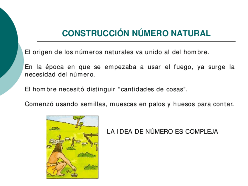 Miniatura del documento Construccion-numero.pdf