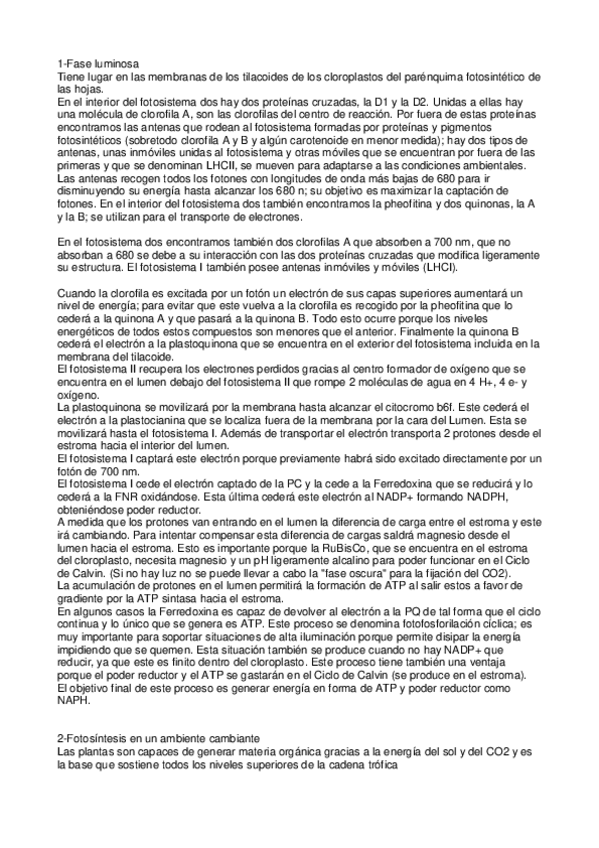 Miniatura del documento 6-Fotosíntesis.pdf