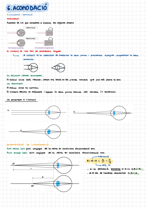 Miniatura del documento 6.-acomodacio.pdf