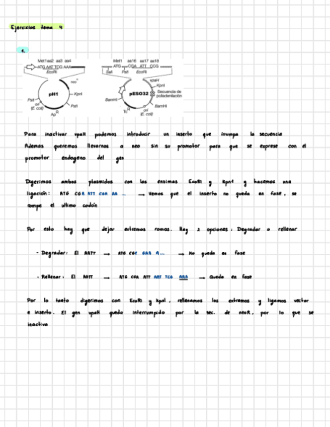 Miniatura del documento Tema-4-Ejercicios-IG.pdf