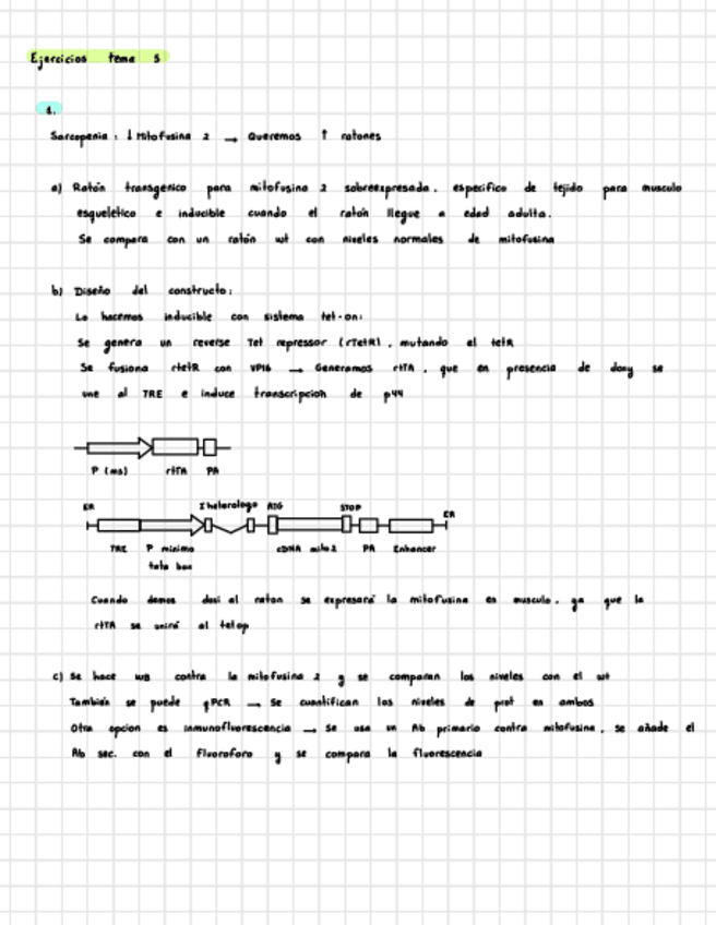 Miniatura del documento Tema-5-Ejercicios-IG.pdf