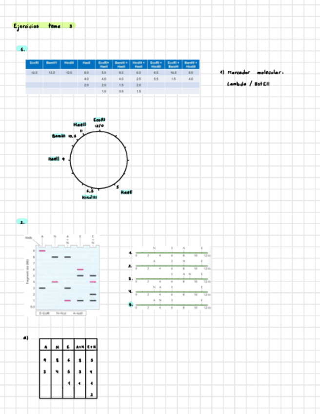 Miniatura del documento Tema-3-Ejercicios-IG.pdf