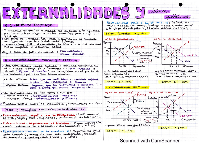 Miniatura del documento TEMA8-EXTERNALIDADES-Y-BIENES.pdf