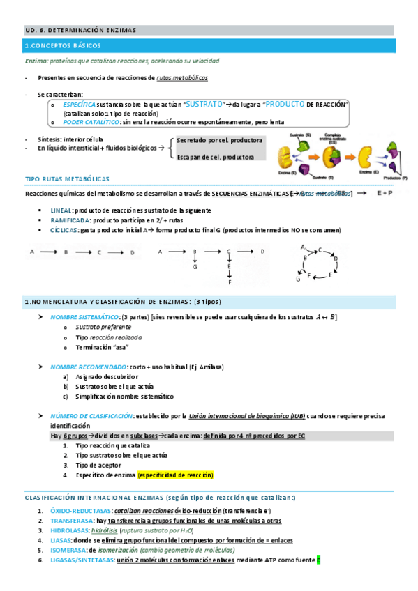 Miniatura del documento T6.pdf