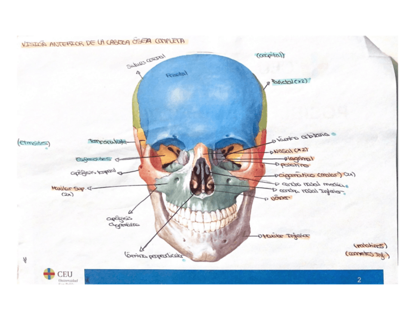 Miniatura del documento POSIBLES-LAMINAS.pdf