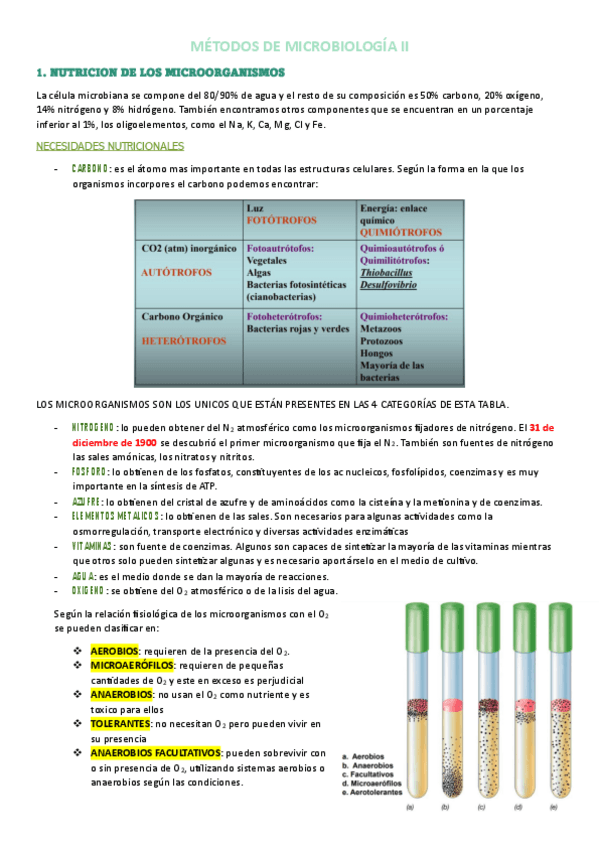 Miniatura del documento TEMA-3.pdf