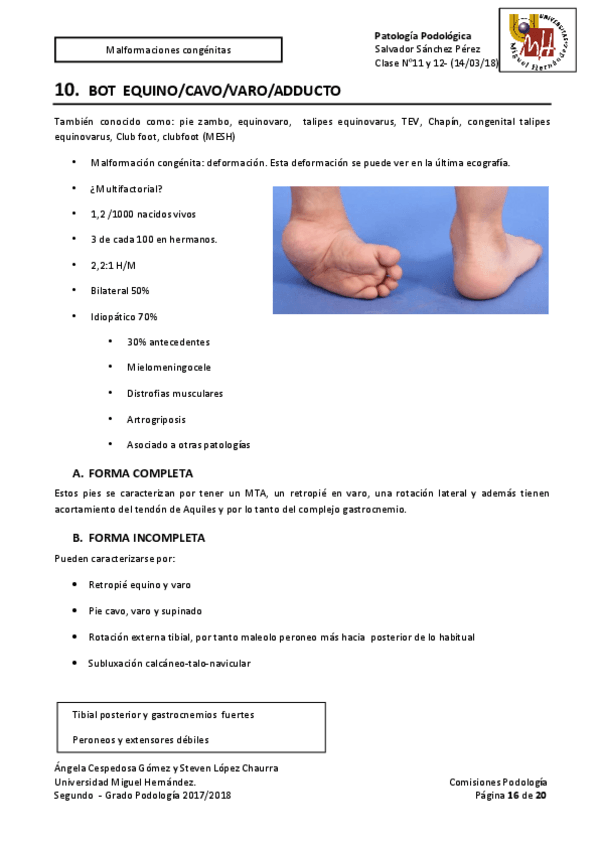 Miniatura del documento TEMAS-PODO-PATO-9.pdf