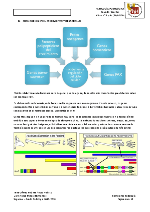 Miniatura del documento TEMAS-PODO-PATO-4.pdf