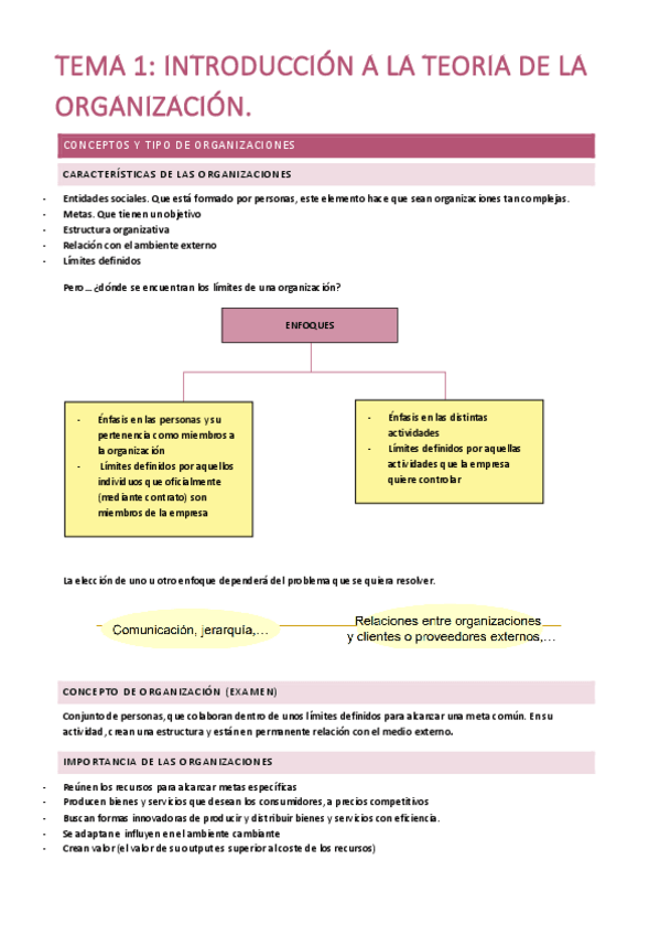 Miniatura del documento TEORIA ORGANIZACION.pdf