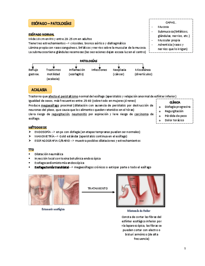 Miniatura del documento ESOFAGO.pdf