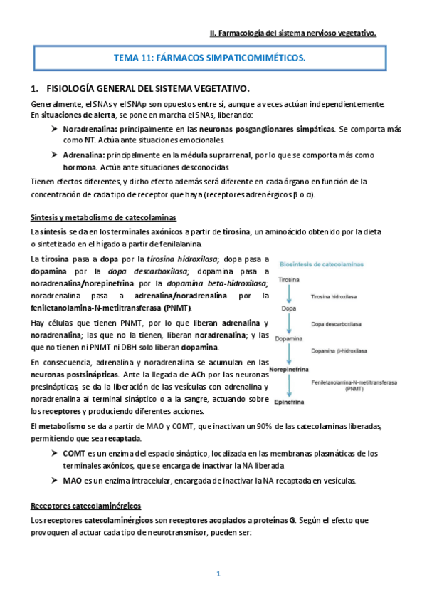 Miniatura del documento Tema 11. Fármacos simpaticomiméticos.pdf
