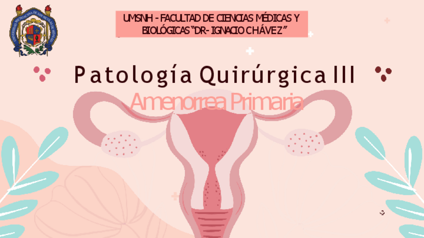 Miniatura del documento Amenorrea-Primaria.pdf