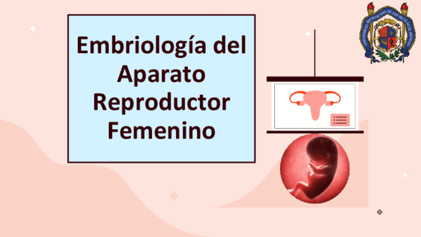 Miniatura del documento Embriologia-del-Ap.-Rep.-Fem.pdf