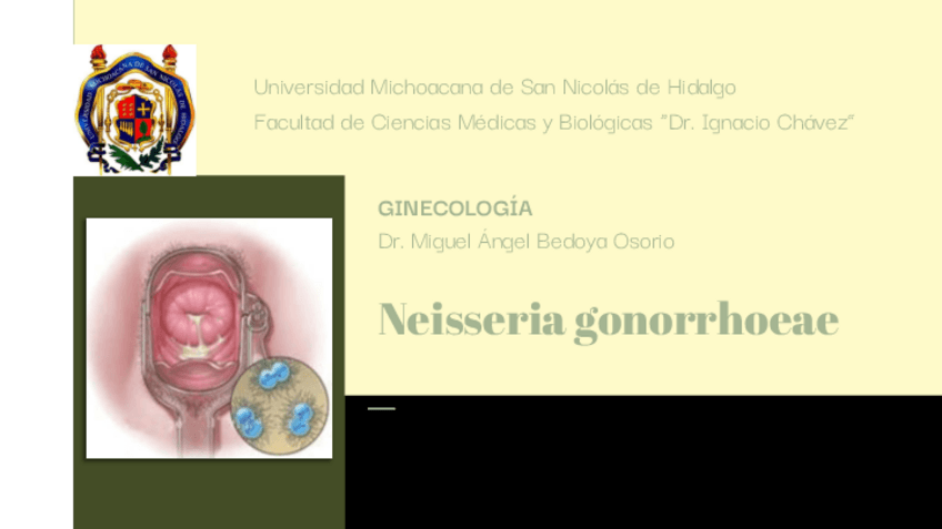 Miniatura del documento Neisseria-gonorrhoeae.pdf