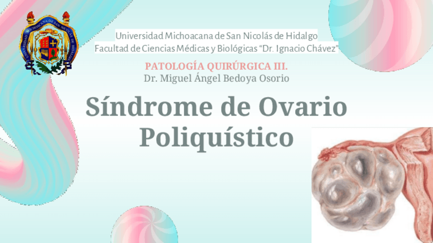 Miniatura del documento SOP.pdf