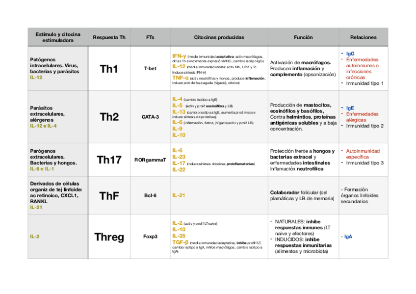 Miniatura del documento ESQUEMA-GENERAL-LTH.pdf