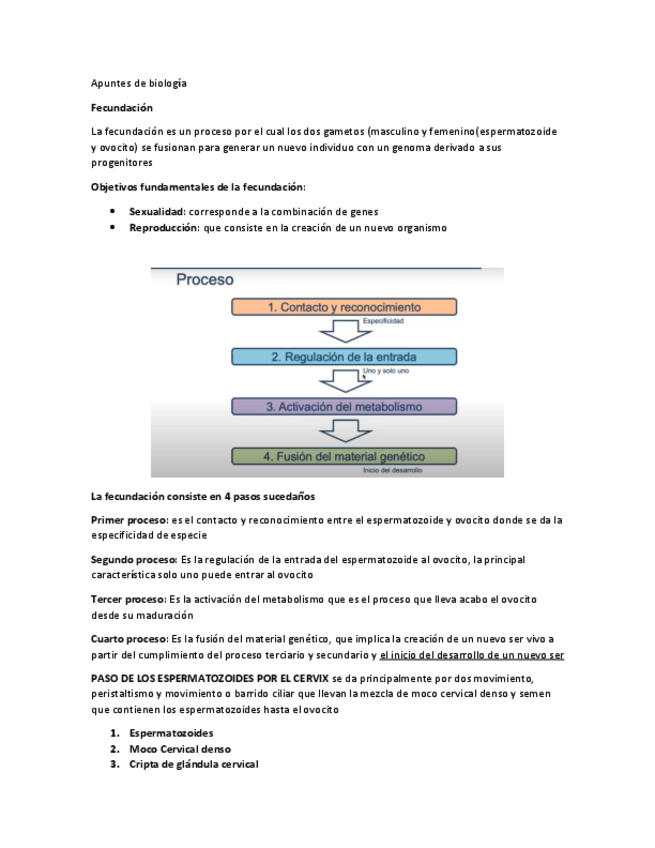 Miniatura del documento Apuntes-de-biologia-guia-4.pdf