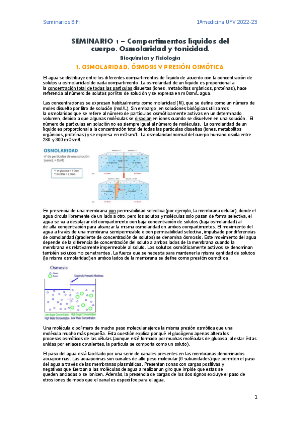 Miniatura del documento Apuntes-completos-seminarios-BiFi.pdf