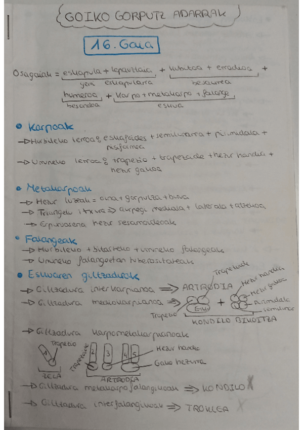 Miniatura del documento III.ATALA-GOIKO-GORPUTZ-ADARRAK (2020-2021).pdf