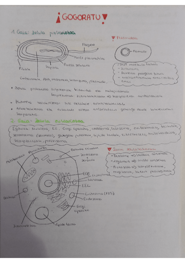 Miniatura del documento ZELULEN-BIOLOGIA-LABURPENA (2020-2021).pdf