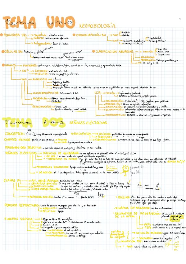Miniatura del documento resumenes-fisio-completos.pdf