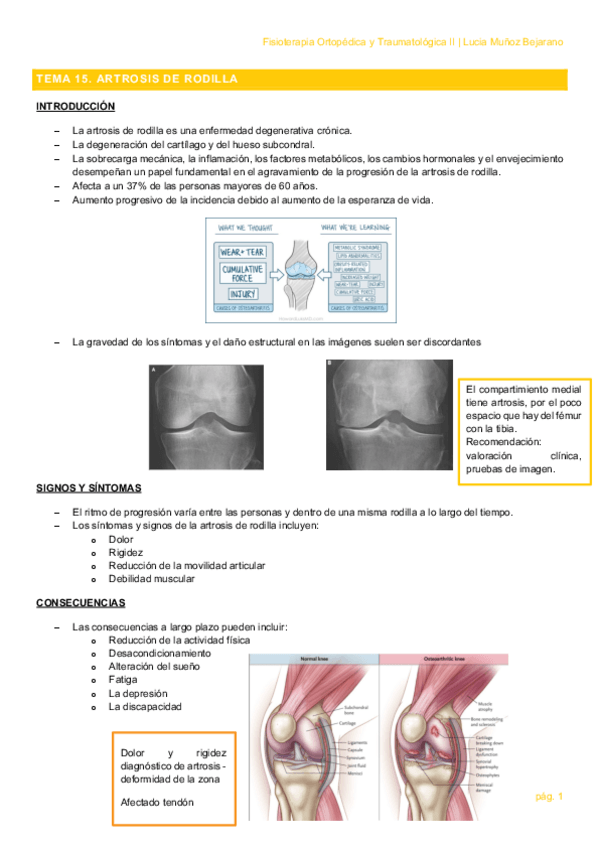 Miniatura del documento TEMA-15.pdf