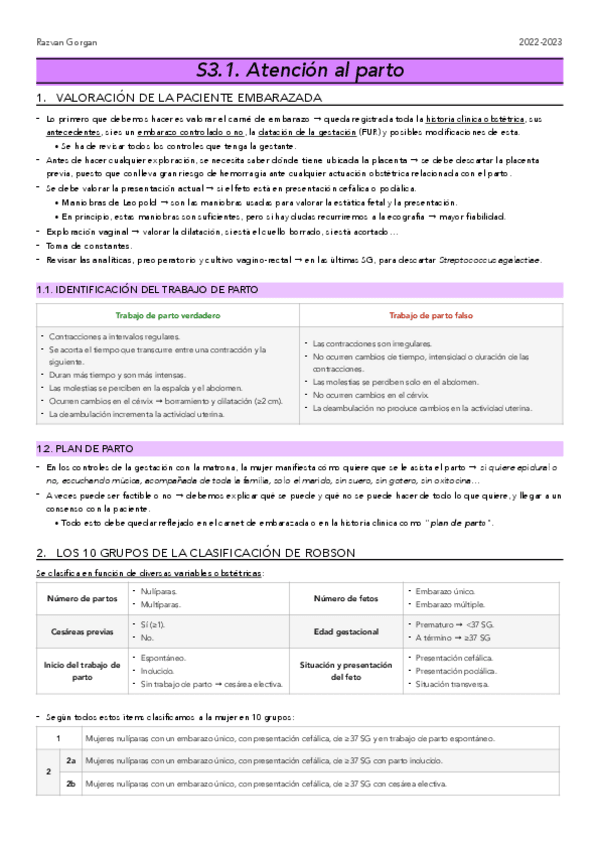 Miniatura del documento OBS3.-Atencion-al-parto.pdf