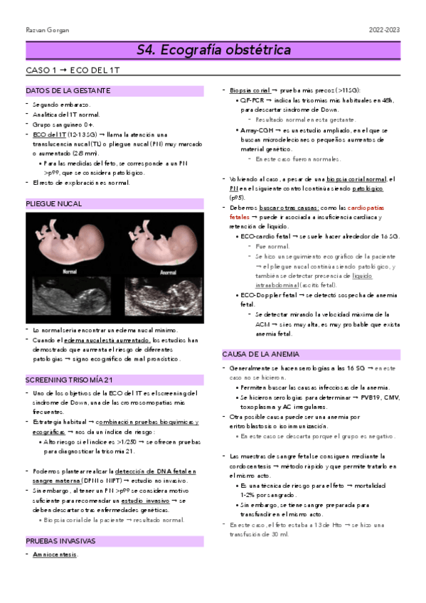 Miniatura del documento OBS4.-Eco-obstetrica-y-prenatal-CC.pdf