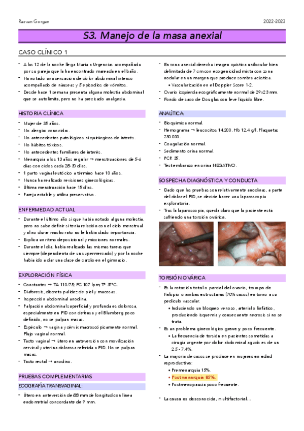 Miniatura del documento GS3.-Manejo-de-masa-anexial.pdf
