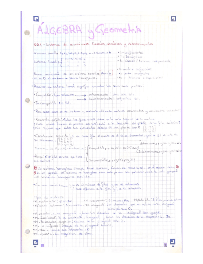 Miniatura del documento temas.pdf