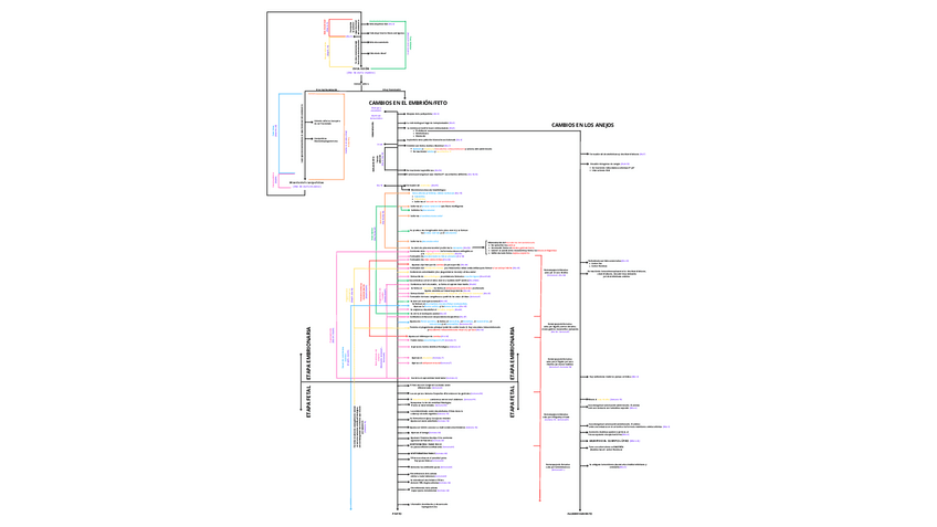 Miniatura del documento linea-del-tiempo-embrio.pdf