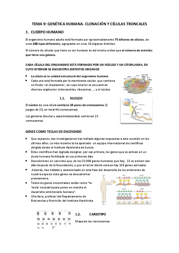 Miniatura del documento TEMA-9-GENETICA-HUMANA.-CLONACION-Y-CELULAS-TRONCALES.pdf