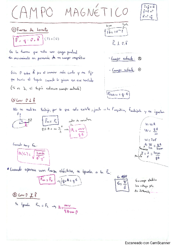 Miniatura del documento Resumen-campo-magnetico.pdf