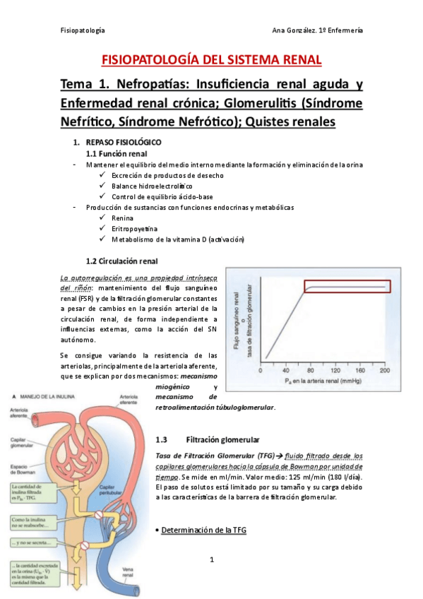 Miniatura del documento Fisiopatologia-Renal.pdf