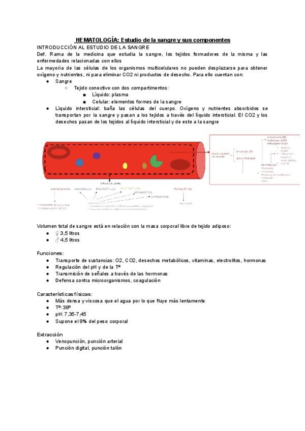 Miniatura del documento HEMATOLOGIA-Estudio-de-la-sangre-y-sus-componentes.pdf