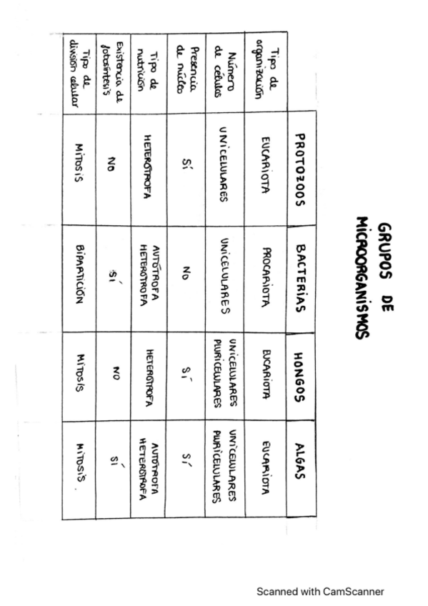 Miniatura del documento MICROBIOLOGIA.pdf