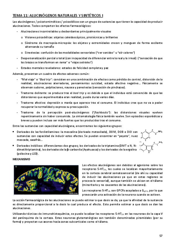 Miniatura del documento NEUROFARMACOLOGIA-tema-11.pdf