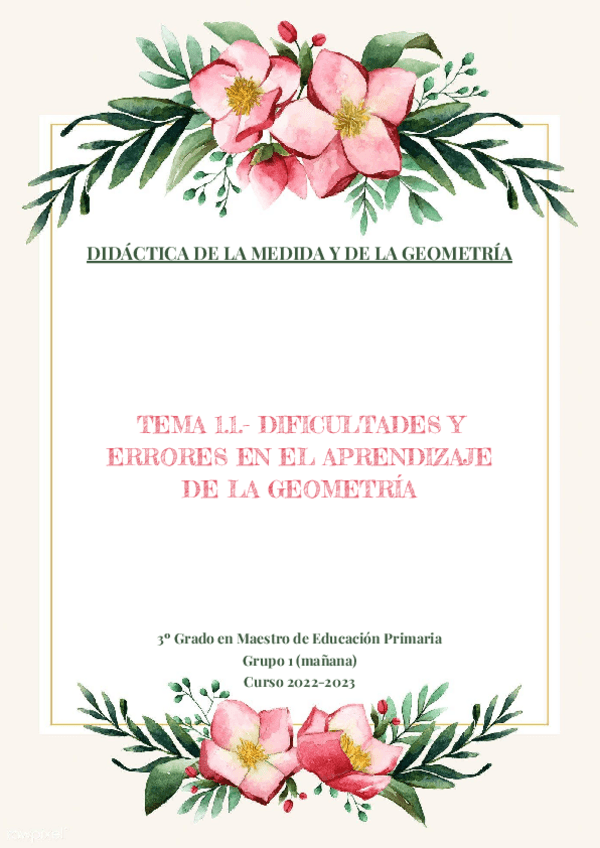 Miniatura del documento TEMA-1.1.-DIFICULTADES-EN-EL-APRENDIZAJE-DE-LA-GEOMETRIA.pdf