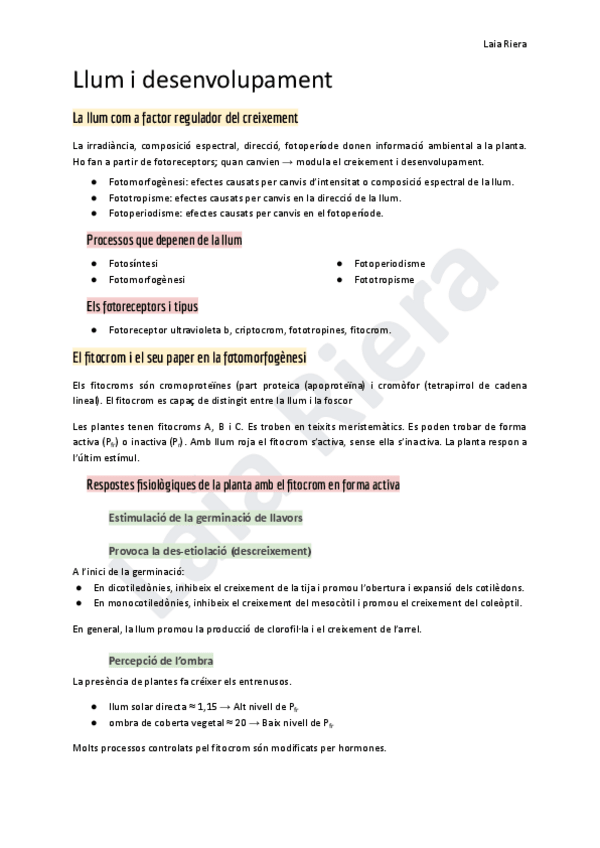 Miniatura del documento 11.-Llum-i-desenvolupament.pdf