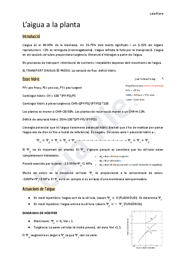 Miniatura del documento 1.-Laigua-a-la-planta.pdf