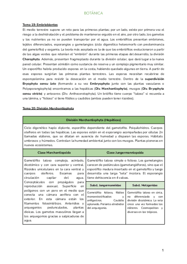 Miniatura del documento Botanica-completo.pdf
